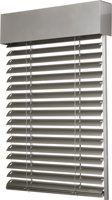 Cetta-65 (1)